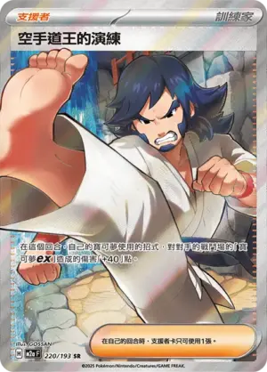 空手道王的演練