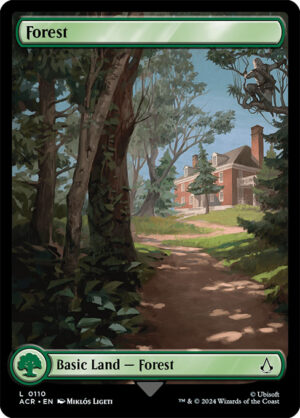 Forest