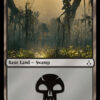 Swamp