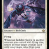 Jackdaw Savior