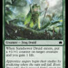 Sunshower Druid