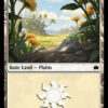 Plains