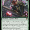 Bloodroot Apothecary