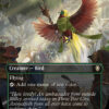 Birds of Paradise