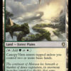 Canopy Vista