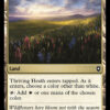 Thriving Heath
