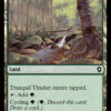 Tranquil Thicket