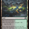 Jungle Hollow