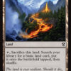 Evolving Wilds