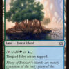 Tangled Islet