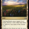 Thriving Heath