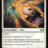 Shardmage's Rescue