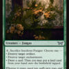 Insidious Fungus