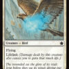 Healer's Hawk