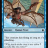 Kitesail Corsair