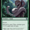 Noose Constrictor
