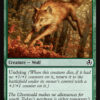 Young Wolf