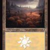 Plains