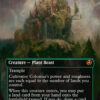 Cultivator Colossus
