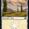 Plains