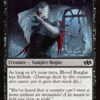 Blood Burglar