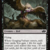 Gorging Vulture