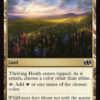 Thriving Heath