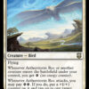 Aetherstorm Roc