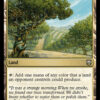 Exotic Orchard