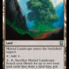 Myriad Landscape