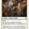 Cathar Commando