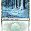 Snow-Covered Forest