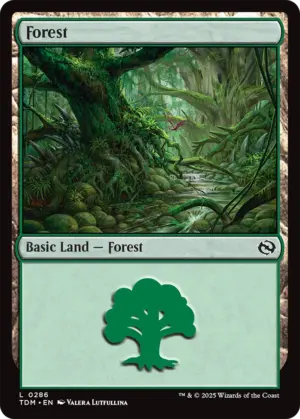 Forest