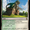 Overgrown Farmland