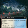 Irrigated Farmland