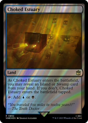 Choked Estuary