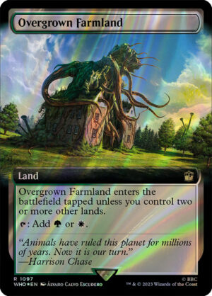 Overgrown Farmland