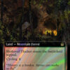 Sheltered Thicket
