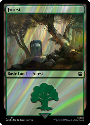 Forest