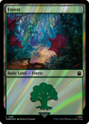 Forest
