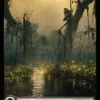 Swamp