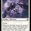 Jackdaw Savior
