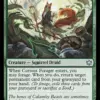 Curious Forager