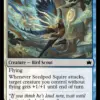Seedpod Squire