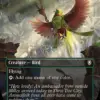 Birds of Paradise
