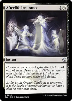 Afterlife Insurance