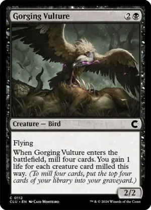 Gorging Vulture