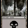 Swamp