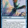 Coveted Peacock