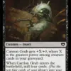 Carrion Grub